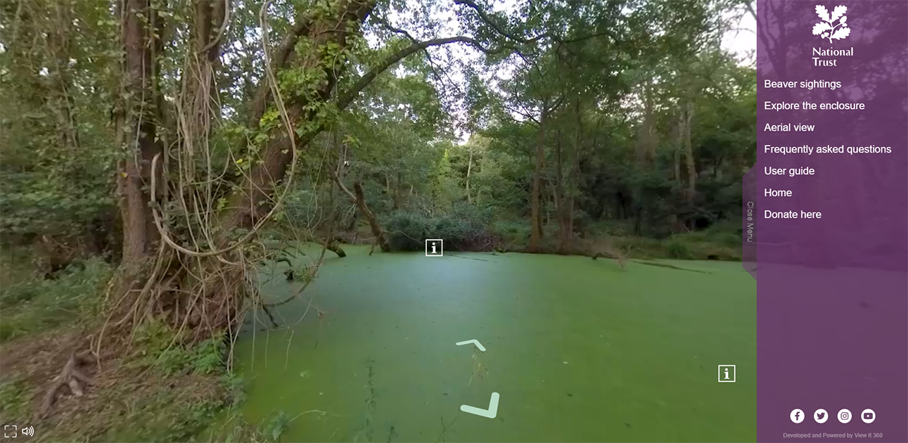National Trust - Holnicote beaver enclosure